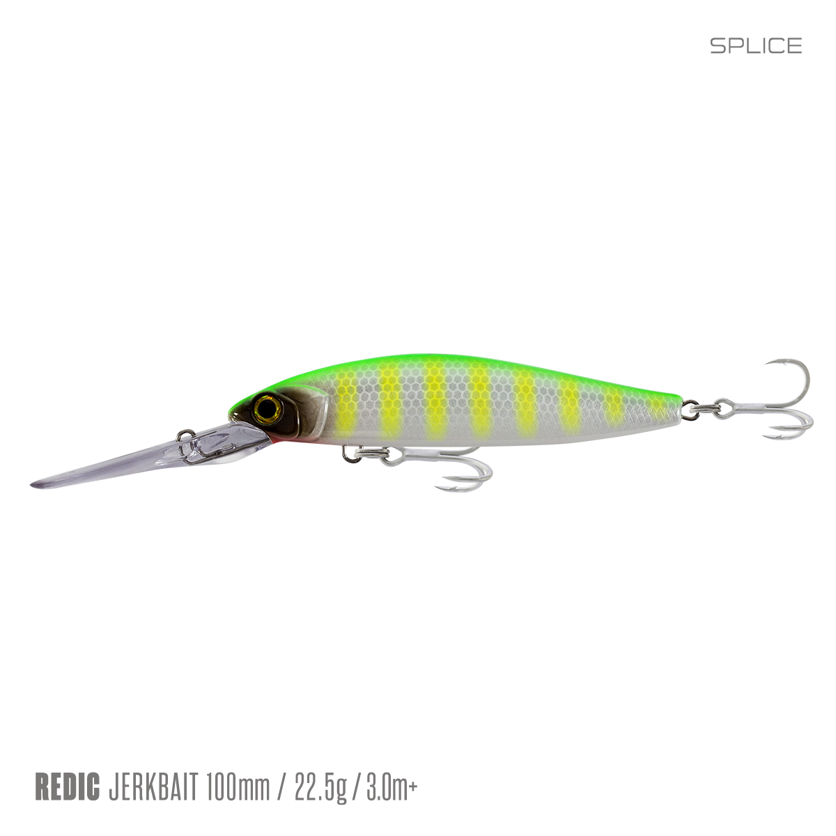 Redic DS100