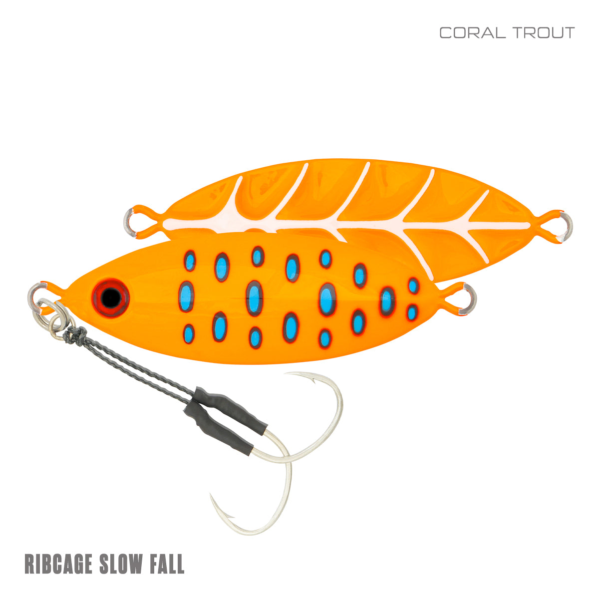 Ribcage Slow Fall