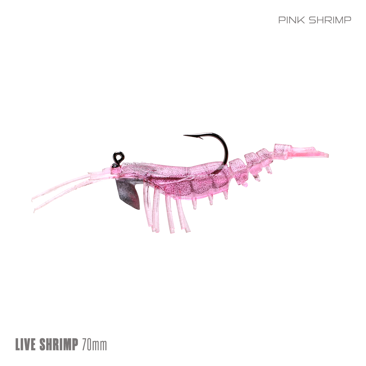 Live Shrimp 75mm